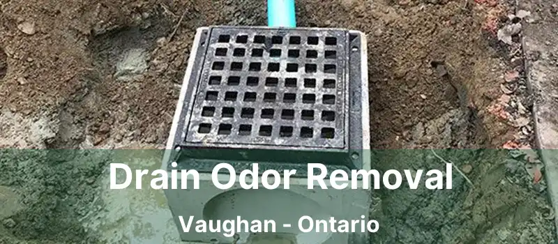  Drain Odor Removal Vaughan - Ontario